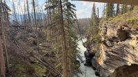 Tag 3, Athabasca Wasserfälle im Jasper Nationalpark  &ndash; &copy; Leon Prinz (Eberhardt TRAVEL)
