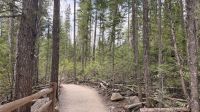 Tag 5, Spaziergang Spahat Falls im Wells Gray Provincial Park &ndash; &copy; Leon Prinz (Eberhardt TRAVEL)