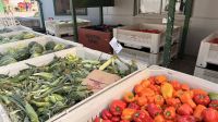 Tag 6, Besuch der Horstings Farm bei Chache Creek &ndash; &copy; Leon Prinz (Eberhardt TRAVEL)