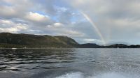 Tag 11, Juneau, Walbeobachtung  &ndash; &copy; Leon Prinz (Eberhardt TRAVEL)