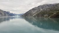 Tag 13, Glacier Bay Nationalpark 