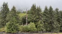 Tag 14, Ketchikan - Lighthouse, Tomtems, Eagles Exkursion &ndash; &copy; Leon Prinz (Eberhardt TRAVEL)