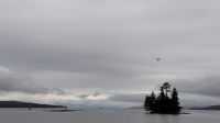 Tag 14, Ketchikan - Lighthouse, Tomtems, Eagles Exkursion &ndash; &copy; Leon Prinz (Eberhardt TRAVEL)