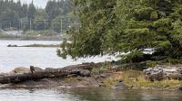 Tag 14, Ketchikan - Lighthouse, Tomtems, Eagles Exkursion &ndash; &copy; Leon Prinz (Eberhardt TRAVEL)