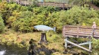 Tag 14, Ketchikan &ndash; &copy; Leon Prinz (Eberhardt TRAVEL)