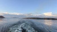 Tag 15, Seetag Inside Passage &ndash; &copy; Leon Prinz (Eberhardt TRAVEL)
