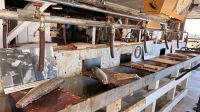 Tag 16, Ausschiffung - Ausflug Fischerort Steveston &ndash; &copy; Leon Prinz (Eberhardt TRAVEL)