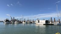Tag 16, Ausschiffung - Ausflug Fischerort Steveston &ndash; &copy; Leon Prinz (Eberhardt TRAVEL)
