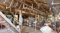 Tag 16, Ausschiffung - Ausflug Fischerort Steveston &ndash; &copy; Leon Prinz (Eberhardt TRAVEL)