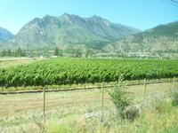 Weinanbaugebiet &ndash; &copy; Linda Hartge (Eberhardt TRAVEL)