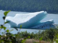 Eisberge des Mendenhall Gletschers &ndash; &copy; Linda Hartge (Eberhardt TRAVEL)