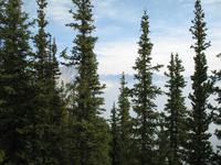 Sulphur Mountain &ndash; &copy; Nicole Niendorf (Eberhardt TRAVEL)