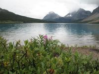 Bow Lake &ndash; &copy; Nicole Niendorf (Eberhardt TRAVEL)