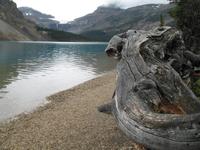 Bow Lake &ndash; &copy; Nicole Niendorf (Eberhardt TRAVEL)