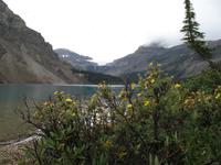 Bow Lake &ndash; &copy; Nicole Niendorf (Eberhardt TRAVEL)