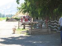Hat Creek Ranch &ndash; &copy; Nicole Niendorf (Eberhardt TRAVEL)