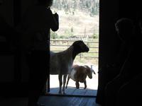 Hat Creek Ranch &ndash; &copy; Nicole Niendorf (Eberhardt TRAVEL)