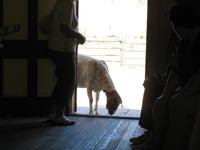 Hat Creek Ranch &ndash; &copy; Nicole Niendorf (Eberhardt TRAVEL)