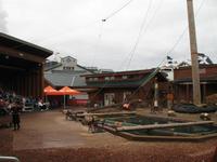 Ketchikan - Lumberjack-Show &ndash; &copy; Nicole Niendorf (Eberhardt TRAVEL)