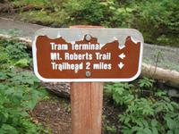 Wandern in den Bergen von Juneau &ndash; &copy; Nicole Niendorf (Eberhardt TRAVEL)