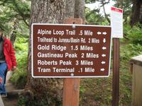 Wandern in den Bergen von Juneau &ndash; &copy; Nicole Niendorf (Eberhardt TRAVEL)