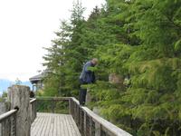 Icy Strait Point &ndash; &copy; Nicole Niendorf (Eberhardt TRAVEL)