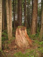 Icy Strait Point &ndash; &copy; Nicole Niendorf (Eberhardt TRAVEL)