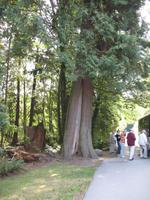 Vancouver &ndash; &copy; Nicole Niendorf (Eberhardt TRAVEL)