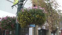 Calgary &ndash; &copy; Nicole Niendorf (Eberhardt TRAVEL)