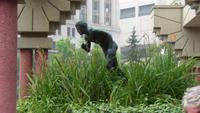 Calgary &ndash; &copy; Nicole Niendorf (Eberhardt TRAVEL)
