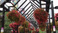 Calgary &ndash; &copy; Nicole Niendorf (Eberhardt TRAVEL)