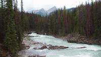 Athabasca-Wasserfälle &ndash; &copy; Nicole Niendorf (Eberhardt TRAVEL)
