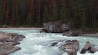 Athabasca-Wasserfälle &ndash; &copy; Nicole Niendorf (Eberhardt TRAVEL)