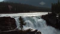 Athabasca-Wasserfälle &ndash; &copy; Nicole Niendorf (Eberhardt TRAVEL)