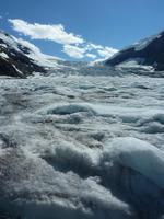 Columbia Icefield &ndash; &copy; Uwe Lorenz (Eberhardt TRAVEL)