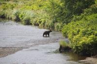 ob die Luft rein ist? &ndash; &copy; Uwe Lorenz (Eberhardt TRAVEL)