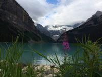 127 Lake Louise &ndash; &copy; Ngoc Anh Nguyen (Eberhardt TRAVEL)