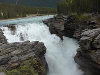 Athabaska-Falls &ndash; &copy; Philipp Schmitz (Eberhardt TRAVEL)