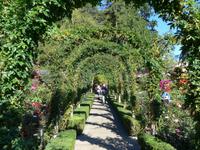 Rosengarten Butchart Garden &ndash; &copy; Philipp Schmitz (Eberhardt TRAVEL)