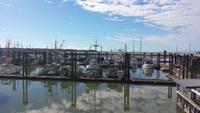 Stevenson Village &ndash; &copy; Astrid Janke (Eberhardt TRAVEL)