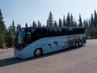 top Bus &ndash; &copy; Anna Stiebing (Eberhardt TRAVEL)