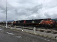 Die 2434 in Jasper &ndash; &copy; Elisabeth Fox-Maerki (Eberhardt TRAVEL)