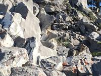 Suchbild &ndash; &copy; Elisabeth Fox-Maerki (Eberhardt TRAVEL)