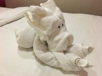 Huch ein neuer Freund im Zimmer ? &ndash; &copy; Elisabeth Fox-Maerki (Eberhardt TRAVEL)