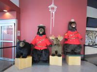 Calgary Tower &ndash; &copy; Madlen Lippe (Eberhardt TRAVEL)