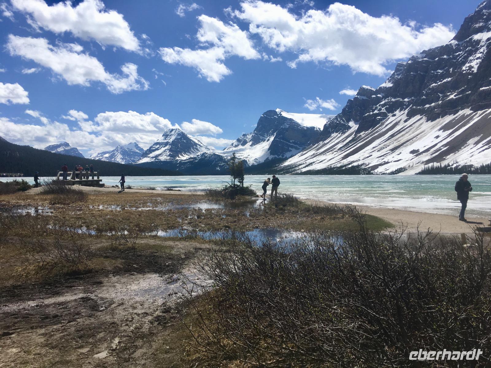 das Bow Lake - Foto &ndash; &copy; Elisabeth Fox-Maerki (Eberhardt TRAVEL)