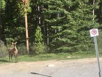 oh, kein Parken erlaubt !  &ndash; &copy; Elisabeth Fox-Maerki (Eberhardt TRAVEL)
