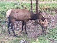 mein Baby, du riechst so gut  &ndash; &copy; Elisabeth Fox-Maerki (Eberhardt TRAVEL)