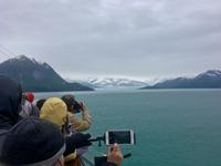 der Hubbard Gletscher in der Ferne