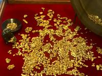 Ketchikans Gold